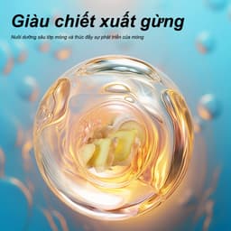 Thumbnail Tinh chất gừng RTOPR kháng khuẩn hỗ trợ giảm bệnh nấm móng chân 10ml 2