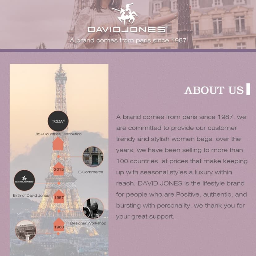 Ảnh David Jones Paris 2025 Xuân Hè Bộ Sưu Tập Mới Thiết Kế Nữ Cứng Đeo Vai Túi Phù Hợp Với Màu Kim Loại Da pu Nữ Mềm Mại Và Mềm Mại 1