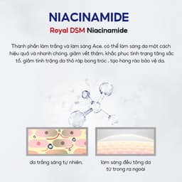 Thumbnail Niacinamide + Retinol Bộ Sáng/Đêm 4PCS VIBRANT GLAMOUR Bộ Chăm Sóc Da Đơn Giản Ban Ngày/Ban Đêm Làm Trắng Da & Giảm Thâm Nám & Chống Lão Hóa & Bổ Sung Collagen & Dưỡng Ẩm Lâu Dài 3