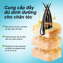 Thumbnail Rtopr 2 Cái Thảo Dược Tóc Tăng Trưởng Chống Rụng Tóc Chất Lỏng Thúc Đẩy Dày Nhanh Tóc Điều Trị Tăng Trưởng Tinh Dầu 4