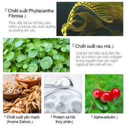 Thumbnail Kem Hỗ Trợ Giảm Sẹo Sau Khi Sinh VIBRANT GLAMOUR Làm Trắng Và Săn Chắc Mịn Mượt Chống Lão Hóa 30g*2 3