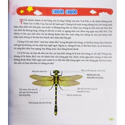 Thumbnail Sách cho bé - Bách Khoa Động Vật Dành Cho Trẻ Nhỏ - Côn Trùng 2