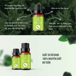 Thumbnail Tinh dầu sả chanh, bạc hà, cam ngọt, khuynh diệp thiên nhiên nguyên chất Julyhouse 30ml/50ml/100ml 3