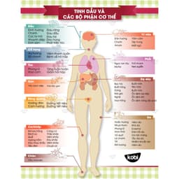 Thumbnail Tinh dầu Bưởi Hồng Kobi Grapefruit essential oil giúp thơm phòng, kích thích mọc tóc hiệu quả - 10ml 3