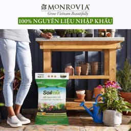 Thumbnail Đất trồng cây Soilmix MONROVIA cho kiểng lá, hoa hồng, sen đá, rau hữu cơ, bổ sung nấm đối kháng, đá perlite 1
