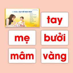 Thumbnail Flashcard - Combo kết hợp bộ thẻ Theo Phương Pháp Glenn Doman (Hộp 459 thẻ) 3