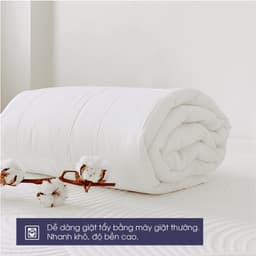 Thumbnail Ruột chăn bông gòn Changmi tiêu chuẩn khách sạn 4 sao 4