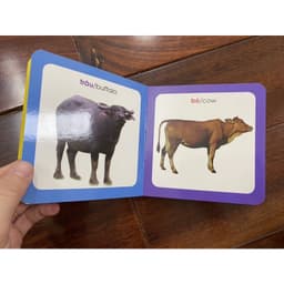 Thumbnail Sách-Từ điển hình ảnh cho bé ( chủ đề tự chọn) 3