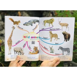 Thumbnail Sách - Chinh phục từ vựng Tiếng Anh theo sơ đồ tư duy mindmap 3