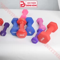 Thumbnail Tạ cầm tay lõi thép bọc cao su Prowin Fitness cao cấp chuyên dụng tập gym yoga 1-3kg 4