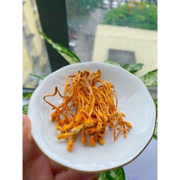 Thumbnail Đông trùng hạ thảo thương hiệu Mộc Hương Sơn loại sấy khô 50gr sợi to ngon 2