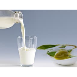 Thumbnail Sữa dưỡng thể trắng da và giữ ẩm Organia White Milk Body Essence Lotion 400ml 3