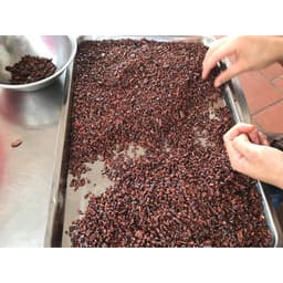 Thumbnail Cacao Nibs hạt ca cao ngòi rang CACAOMI chuẩn Keto ăn healthy - 80g 4