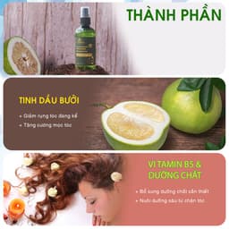 Thumbnail Nước xịt dưỡng tóc tinh dầu vỏ bưởi Pomelo Tabaha 120ml Tặng Dây Cột tóc hoa cúc 3