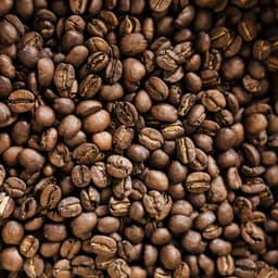 Thumbnail Tinh Dầu Cà Phê Nomad Essential Oil Blend Coffee 1