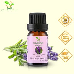 Thumbnail Tinh dầu Oải Hương (Lavender) TAMAS 10ml thơm phòng, thư giãn 1