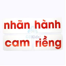Thumbnail Flashcard Glenn Doman - Bộ 100 Thẻ Học Đọc Thông Minh Phát Triển Ngôn Ngữ Cho Trẻ Từ 0-6 Tuổi 4
