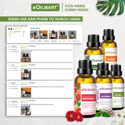 Thumbnail Tinh Dầu Xông Thơm Phòng, Khử Mùi, Đuổi Muỗi Oilmart - Thông, Sả Chanh, Quế, Bạch Đàn Chanh, Cam, Oải Hương 15ml 1