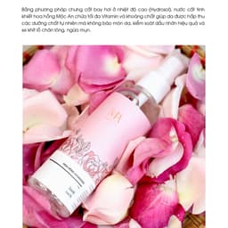 Thumbnail Toner Mộc An Hoa Hồng Hydrosol Cân Bằng Da, Giúp Kiềm Dầu, Giảm Mụn, Se Mịn Chân Lông 100ml 4