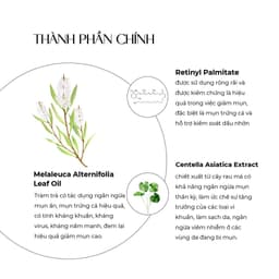 Thumbnail Tinh chất chấm mụn Truesky Tea Tree Oil chiết xuất tràm trà 10ml 2