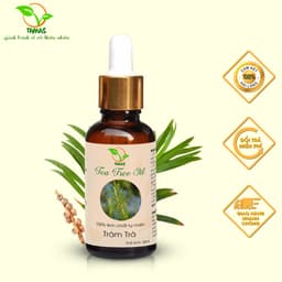 Thumbnail Tinh dầu Tràm Trà nguyên chất chai 10ml/30ml TAMAS, Tinh dầu thơm phòng, khử mùi, thanh lọc không khí, làm đẹp da,... 2