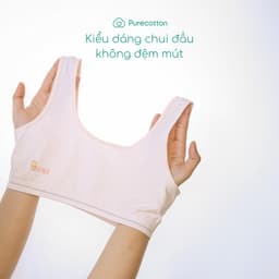 Thumbnail Áo lá học sinh Purecotton bé gái mới lớn chất liệu sợi sồi cao cấp kiểu chui đầu không đệm PC007 2