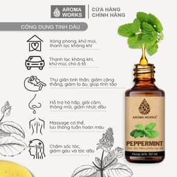 Thumbnail Tinh Dầu Bạc Hà Aroma Works tinh dầu thơm phòng, đuổi muỗi - Peppermint 1