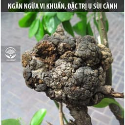 Thumbnail Nano Bạc DOCNEEM nguyên chất Diệt sạch nấm bệnh, vi khuẩn, virus hoa hồng, hoa lan, thương hiệu Docneem, chai 500ml 1