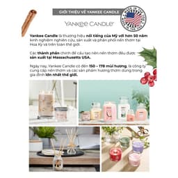 Thumbnail Nến ly tròn sáp đậu nành Yankee Candle size L (567g) - BST mùi hương mới 1