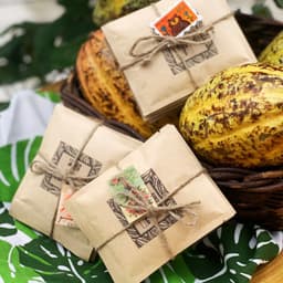 Thumbnail Set 4 gói dùng thử thức uống socola mix vị cafe, sữa dừa, chocolate, nguyên chất thơm ngon CACAOMI 3