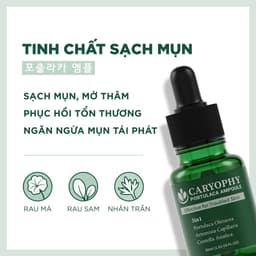 Thumbnail Tinh chất giảm mụn mờ thâm Caryophy Portulaca Ampoule 30ml 4