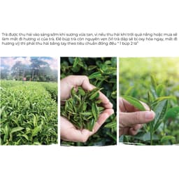Thumbnail Trà Oolong Tấm Cầu Đất DalatFarm - Túi 500Gr - Pha Trà Sữa Chuyên Dụng 2