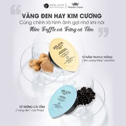 Thumbnail Set mini dầu gội xả Weilaiya phục hồi nấm Truffle 15ml 2
