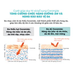Thumbnail Combo dưỡng ẩm chuyên sâu toàn thân Curel Sữa tắm 420ml + Sữa dưỡng 220ml 4