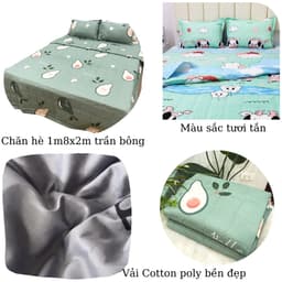 Thumbnail Chăn Hè 1m8x2m trần bông 2 mặt Cotton poly (Được lựa mẫu) 1