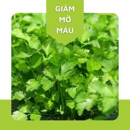 Thumbnail Bột cần tây sấy lạnh Dalahouse 120gr nguyên chất, đạt tiêu chuẩn Châu Âu 2
