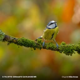 Thumbnail Ống kính Fujinon XF70-300mm F4-5.6 R LM OIS WR 1