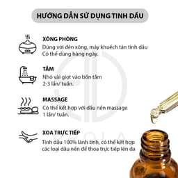 Thumbnail Tinh dầu thiên nhiên PROLA Hương Gỗ Đàn Hương Sandal Wood nguyên chất cao cấp 1