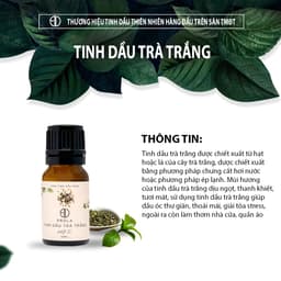 Thumbnail Tinh dầu thiên nhiên PROLA Hương Trà Trắng White Tea nhẹ nhàng, thanh khiết 2
