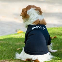 Thumbnail Áo cho chó Pawy Classic Đen - Classic Dog T-shirt Black 2