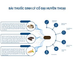 Thumbnail HOBN-2 Hộp Tăng chất lượng số lượng tinh trùng- Hàu Biển Ob New GrowGreenAz, Oyster Plus, Tăng Thời Gian QH [Chính Hãng] 3