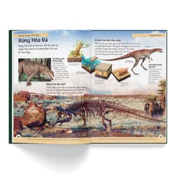 Thumbnail Sách - Bách Khoa Cho Trẻ Em - Bách Khoa Khủng Long (Tái Bản) 4