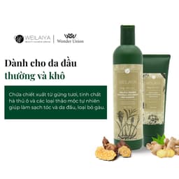 Thumbnail Combo Sữa tắm nước hoa, trắng da toàn thân Damask và cặp dầu gội đầu, dầu xả tóc thảo dược gừng Weilaiya ngăn rụng tóc 4