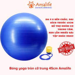 Thumbnail Bóng Tập Yoga Tròn Cỡ Lớn 65cm Cao Cấp Tập Kegel Tập Gym Tập Bơi Chính Hãng Amalife Chọn Màu 1