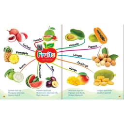 Thumbnail Sách - Combo Mindmap Chinh Phục Từ Vựng Tiếng Anh Theo Sơ Đồ Tư Duy Mind Map - 1001 Mẫu Câu Tiếng Anh Giao Tiếp (2 Cuốn) 3