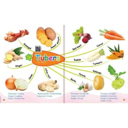 Thumbnail Sách - Combo Mindmap Chinh Phục Từ Vựng Tiếng Anh Theo Sơ Đồ Tư Duy Mind Map - 1001 Mẫu Câu Tiếng Anh Giao Tiếp (2 Cuốn) 4