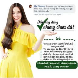 Thumbnail Combo dùng thử gội và xả gừng Weilaiya chính hãng 20ml hỗ trợ mọc tóc giảm gãy rụng 4