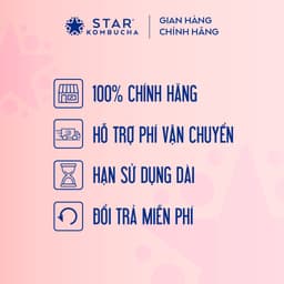 Thumbnail Thùng 12 lon trà STAR KOMBUCHA Ổi Hồng / Pink Guava (250ml/lon) 3