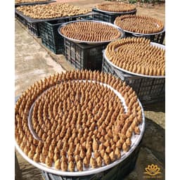 Thumbnail Nụ trầm hương khói ngược búp sen sạch chuẩn OCOP, ISO 9001 trầm xông nhà - Xưởng Mộc Việt 3