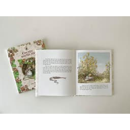 Thumbnail Bộ sách Miền Dâu Dại - Bộ 4 cuốn - Crabit Kidbooks 3
